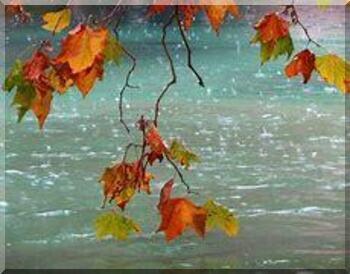 4244 2 ConNhoKhgEmDTDB