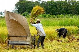 4268 a DapLuaDavidTran