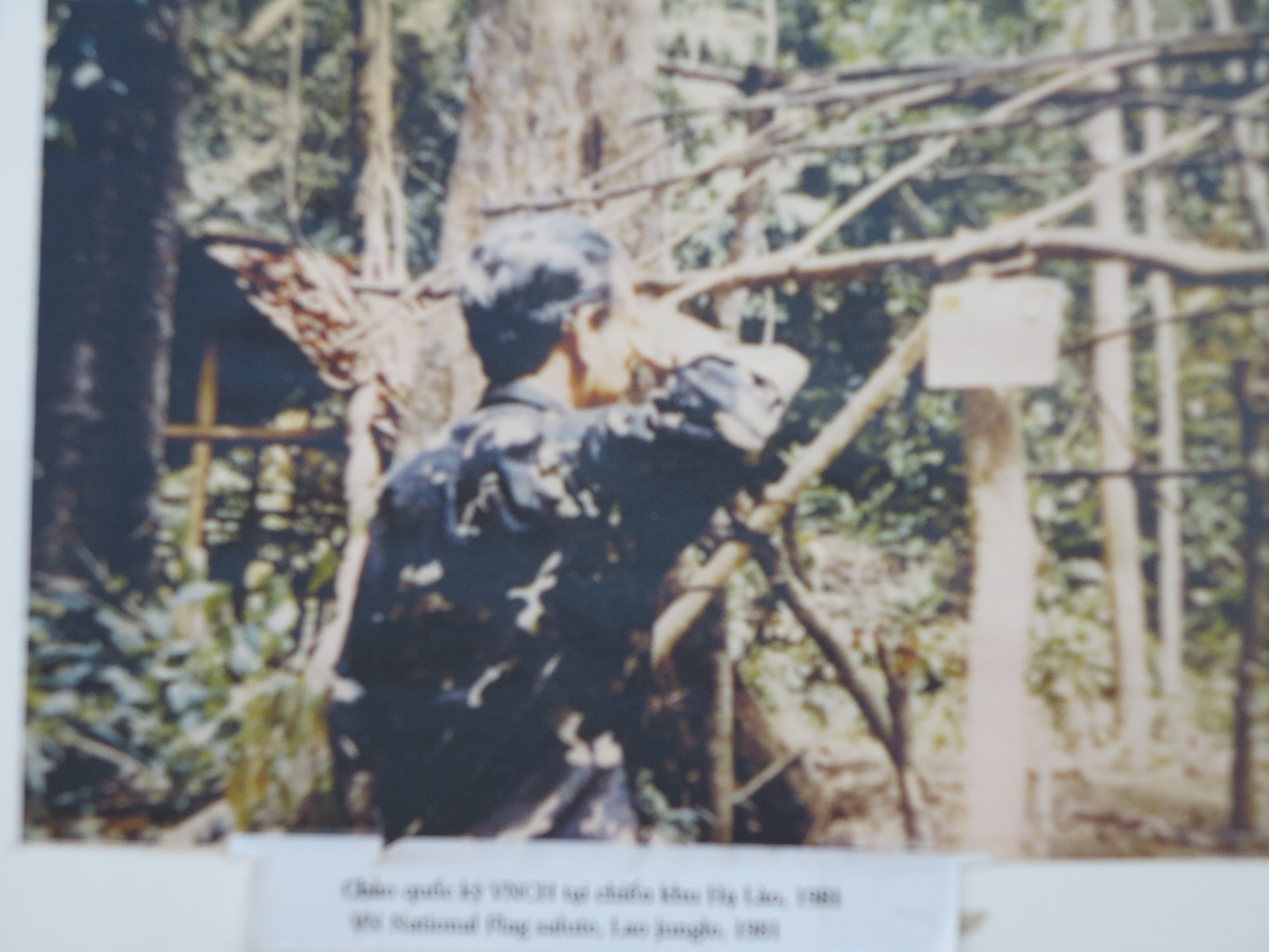 4409 1 TgNiemQHLan6VDTon