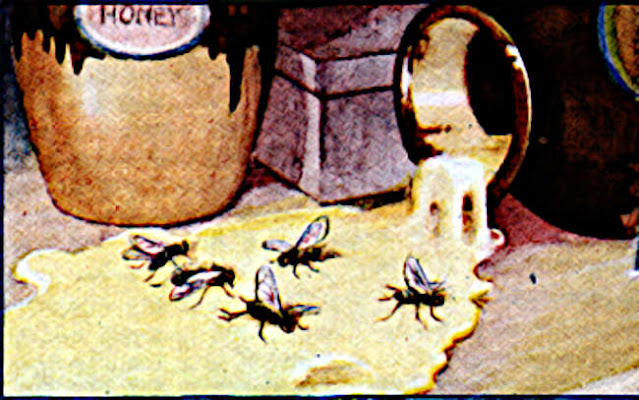 4446 1 RuoiVaMatOngBPhamThanh