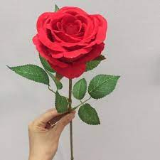 4476 1 DoaHgChoCHAThanhHuyen