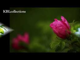 4476 3 Nhac DoaHHgChoCHADiuHg