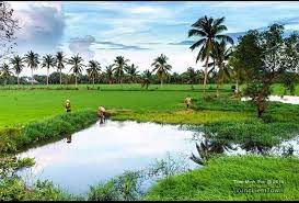 4508 2 VungLiemQueToiVinhLiem