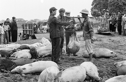 4521 2 ThoiTemPhieuHgPhuong