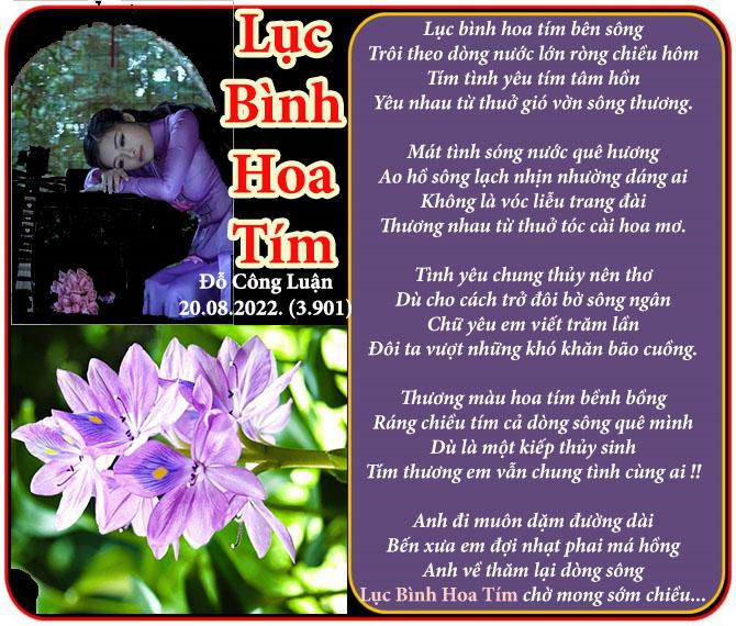 4563 1 LucBinhHoaTimDCL