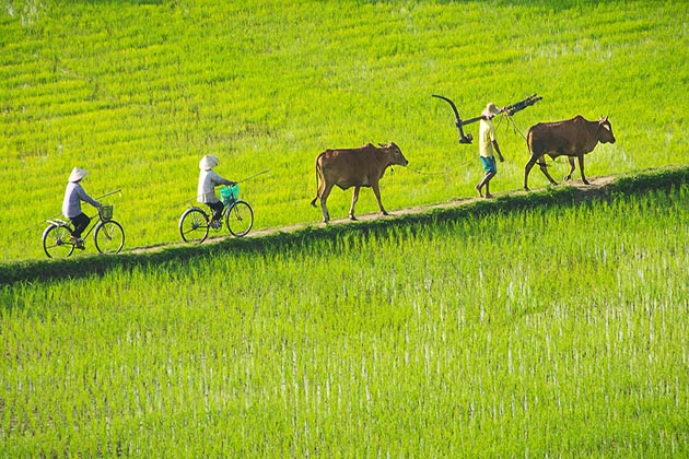 4700 3 VanHoaMienTayDHST