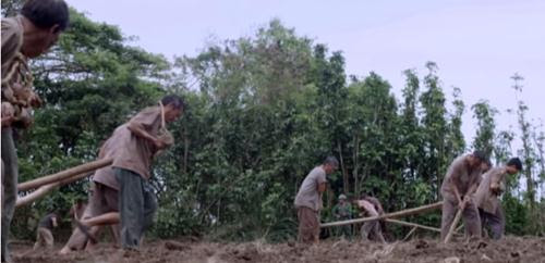 4812 5 ChaGiaGoiConGaiHgYen