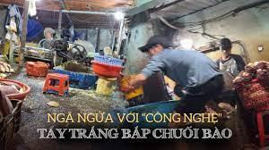 4865 2 CongNgheTayTrangBapChuoiBao TN