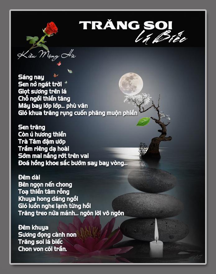 4870 3 TrangSoiLaBiecSthy