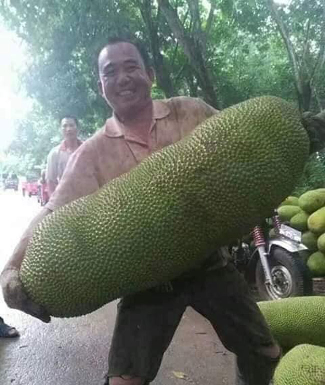 4920%2011%20MitKhongLonCali