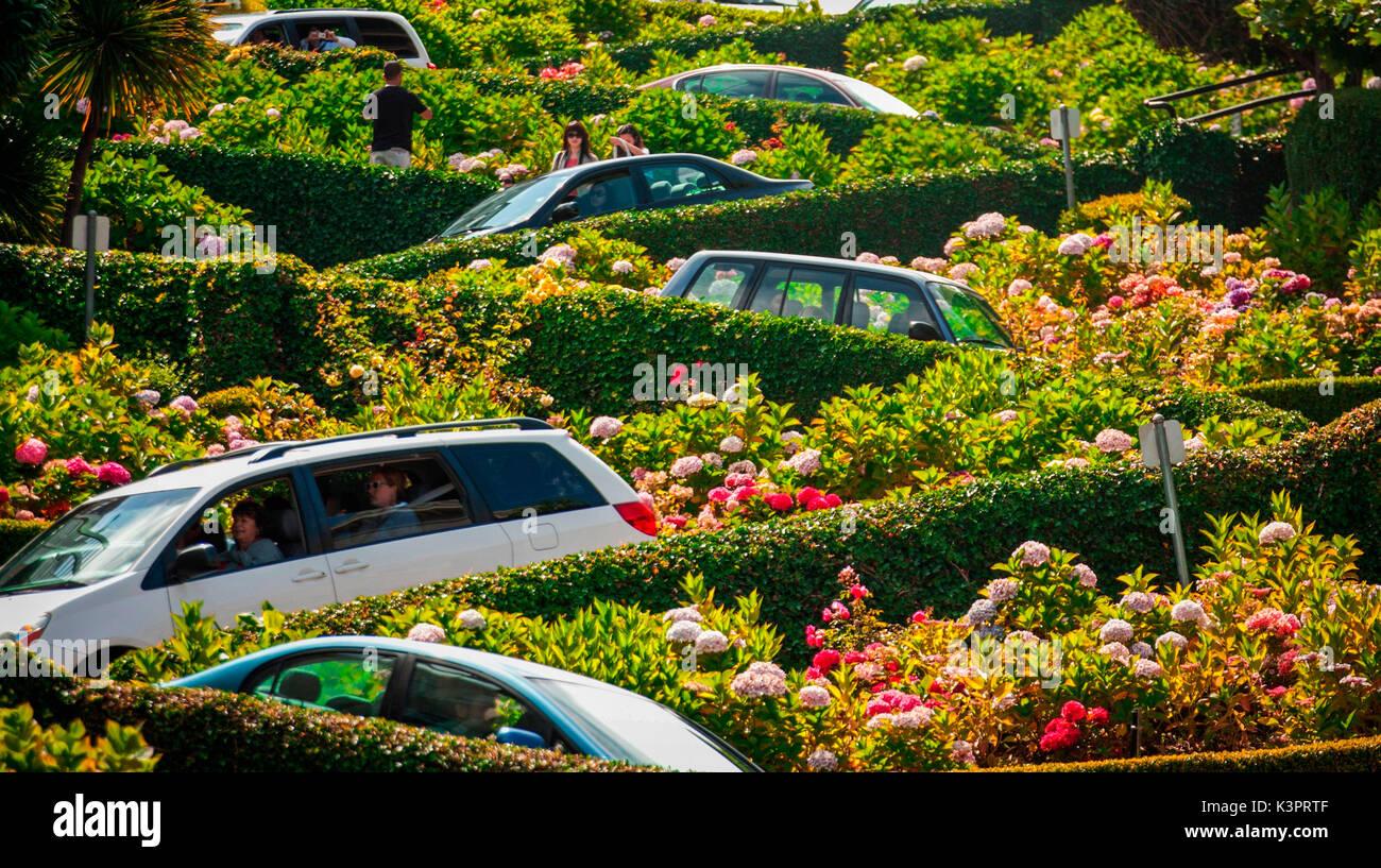 4936 5 Street FlowersThuCuc