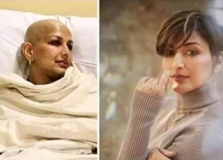 4976 2 DoiVoThuongDHST