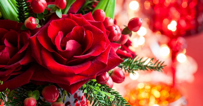 5021 1 BgHongDemGSDHST