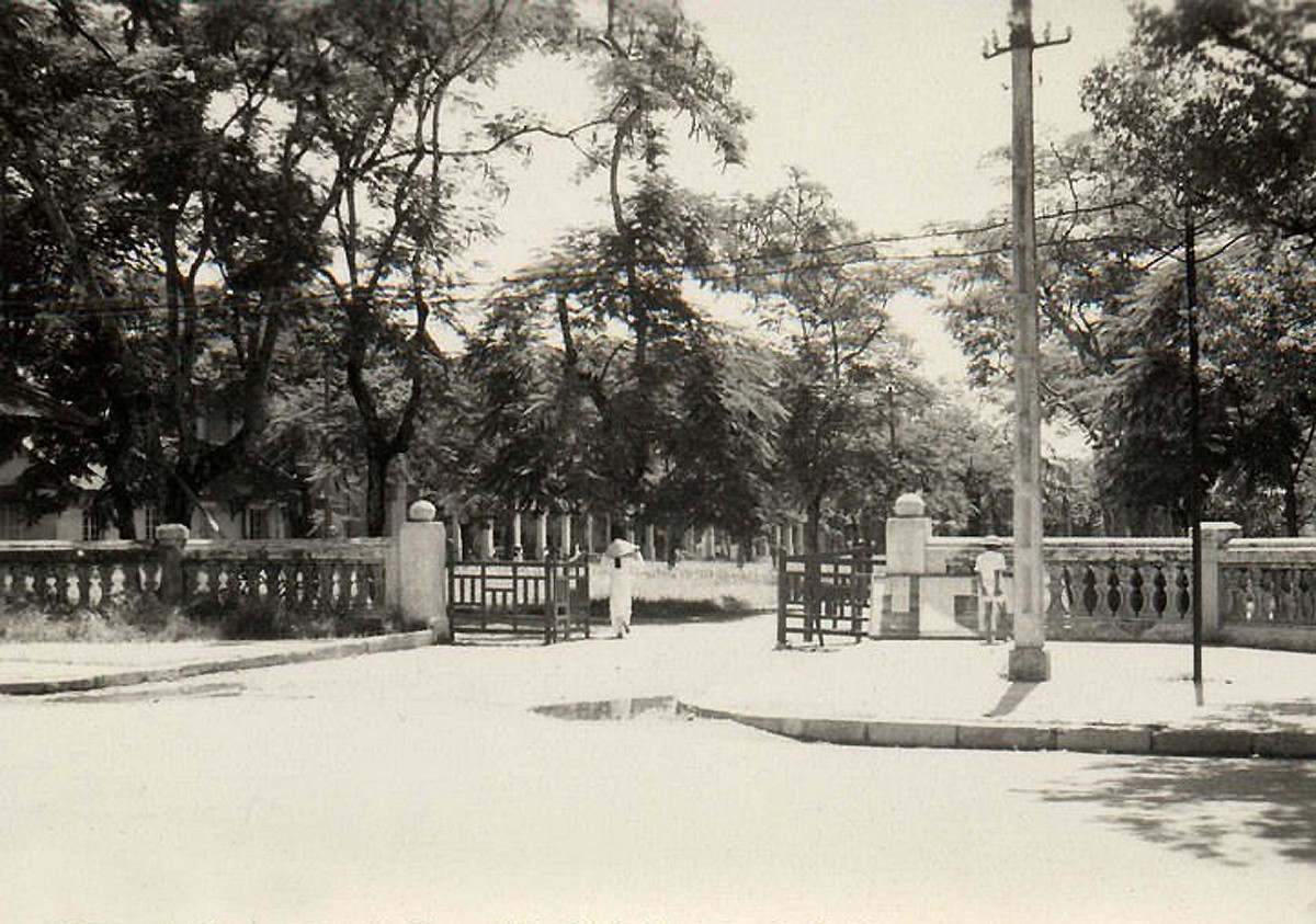 5035 3 CoDoHuePII NCaliST