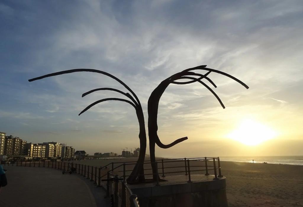 5038 1 TichDuongHongDoanDu