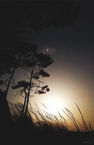 5038 2 TichDuongHongDoanDu