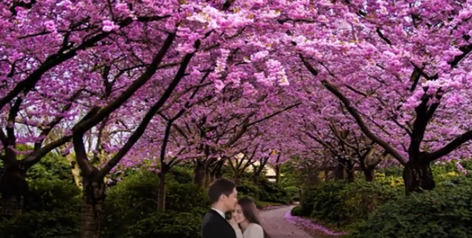 4980 3 LuuLuyenTinhXuanThuCucTrinh