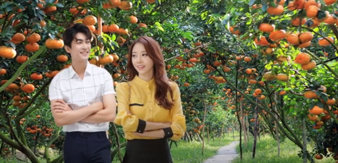 4980 5 LuuLuyenTinhXuanThucucTrinh