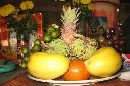 5068 2 MamNguQuaTrinhBAn