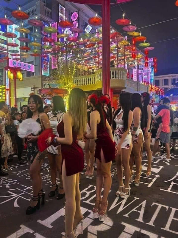 5198 7 ChaDai PT HNDHST