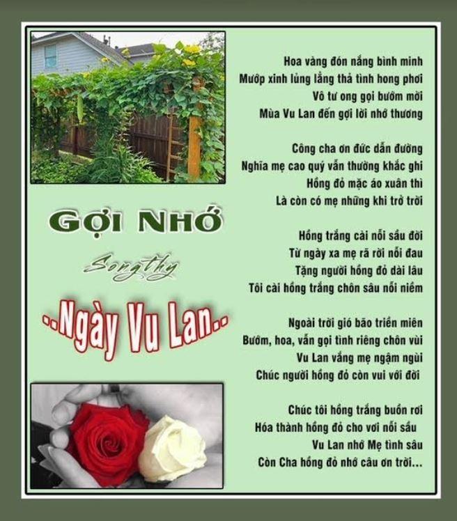 5208 1 GoiNhoNgayVuLanSthy