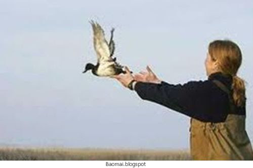 5213 1 RamThg7VaToiAcChimPhgSinhChimEn