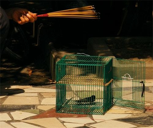 5213 2 ToiAcChimPhgSinhChimEan