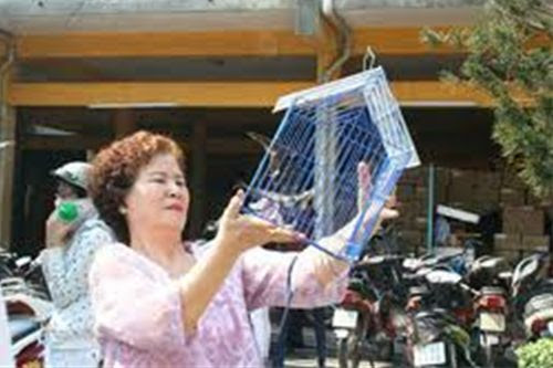 5213 3 ChimPhgSinhChimEn