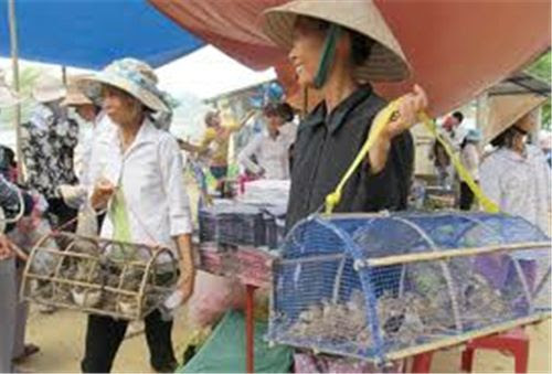 5213 6 ChimPhgSinhCEn