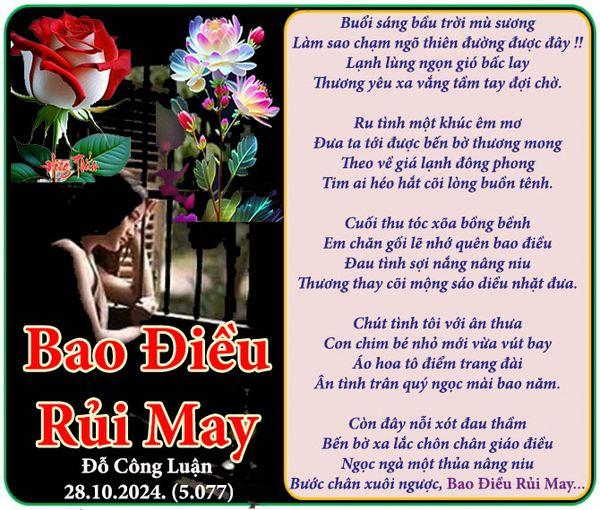 5281 2 BaoDieuRuiMayDCL