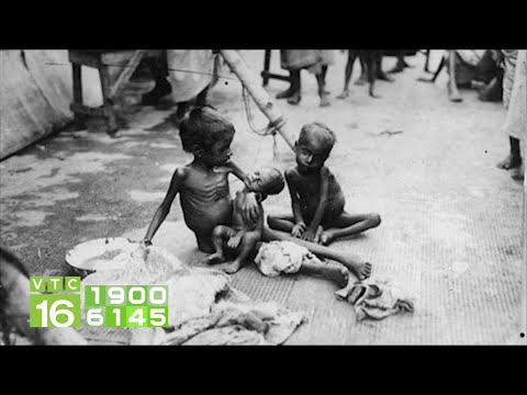 5297 1b NanDoi1945HgPhuong