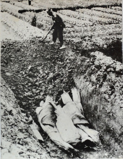 5297 3b NanDoi1945HgPhuong