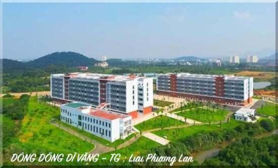 5317 4 DSDV Chg10LPLan