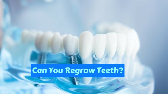 5381 11 11PhatMinhDHST