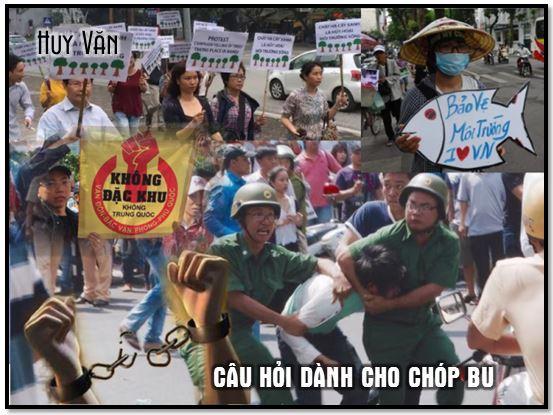 5387 2 CauHoiHuyVan