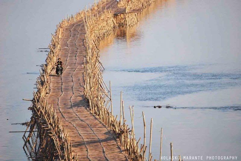 5393 3 ChiecCauTreDHST