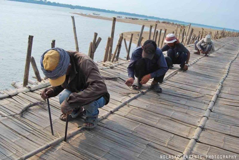 5393 4 ChiecCauTreDHST