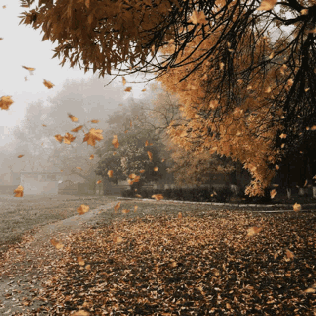 5398 1 LaCungLaLoiSongthy