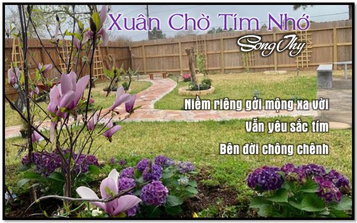 5398 2 XuanChoTimNhoSongthy