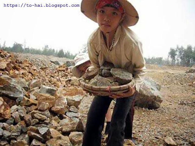 5447 16 ChupAnhNVThang
