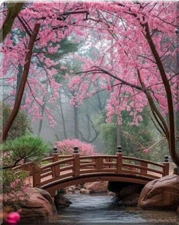 5465 1 MuaHoaDaoNCalI