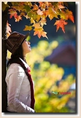 5465 2 MaiAnhVeNCali