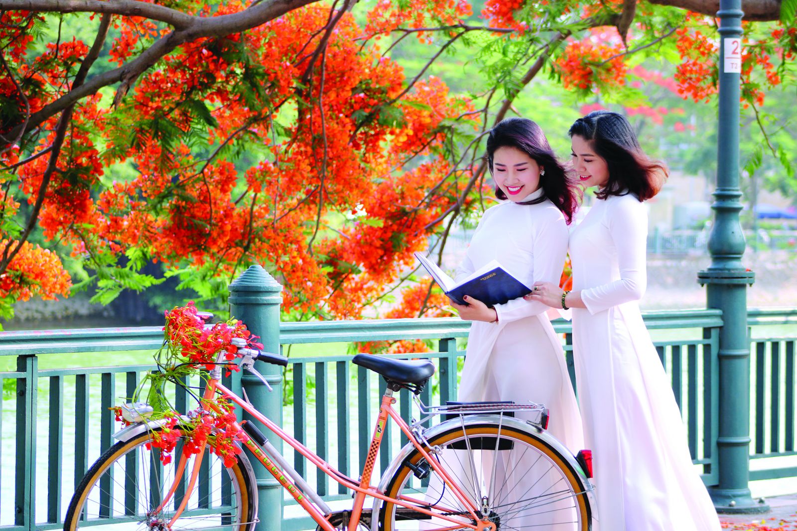5505 2 ChiaTayHeNamAyDCDuc