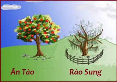 5560 2 AnTaoRaoSungNMH