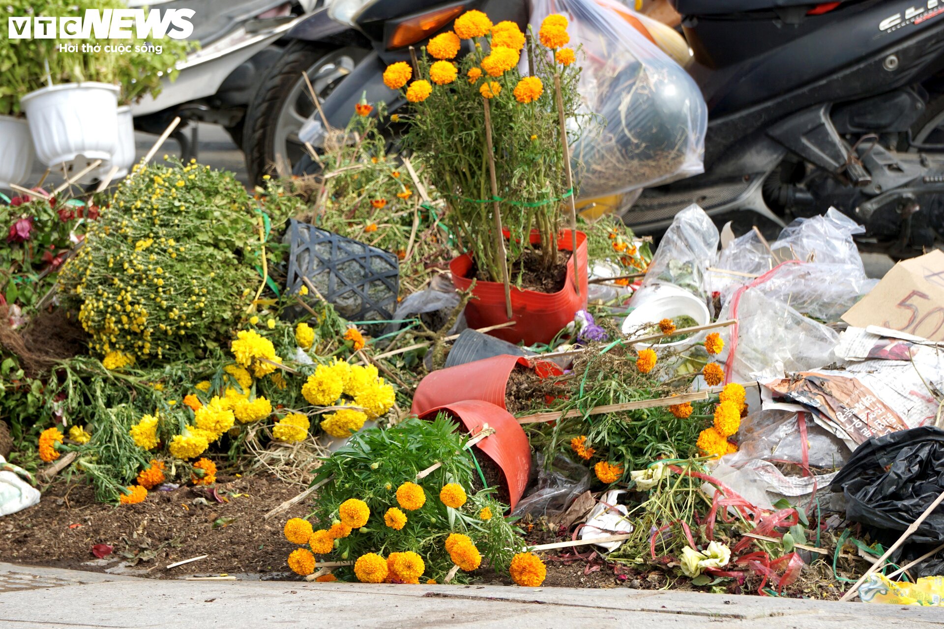 5676 3 Nhung Chau HoabiVutDiNTTD