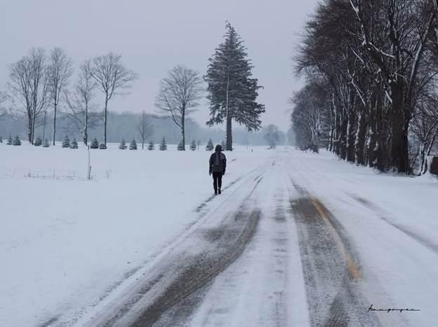 5693 DoaHoaQuynhT Nguyen