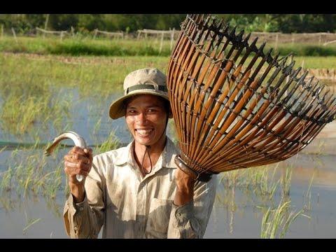 2310 BatCaDongMaiChi ST