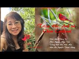 2530 Nhac TruaHeAnhvaChimCardinalNhatThuyVi NgHTan