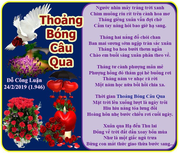 3122 ThoangBongCauQuaDCL