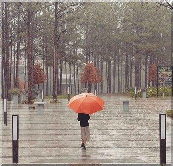 4246 3 DLGiotNgHongBT